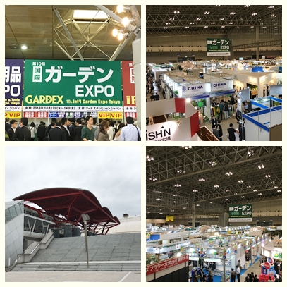 kokusaiga denexpo 2016